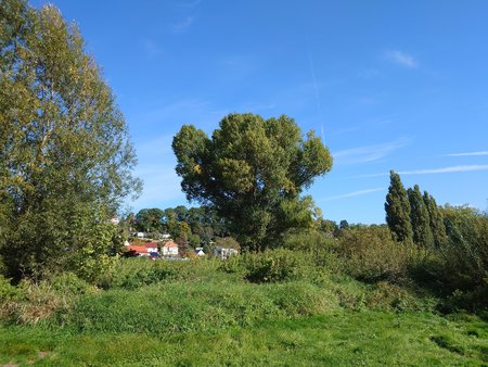 20221012_122056.JPG