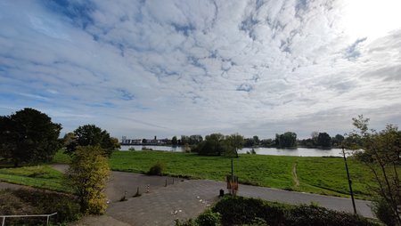 IMG_20221012_130132.jpg