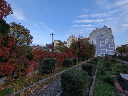 PXL_20221013_062235226.jpg
