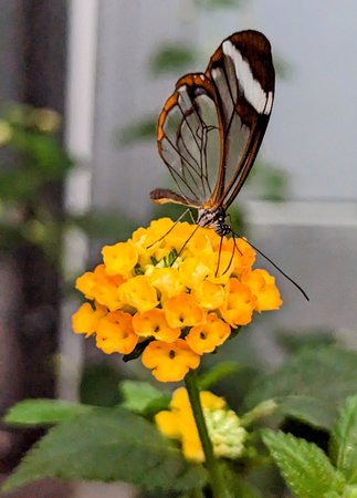 PXL_20221013_134421705~2.jpg
