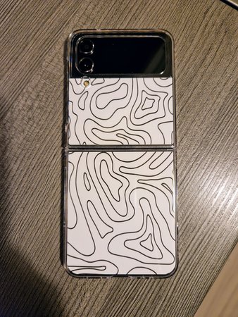 Flip 4 Skin.jpeg