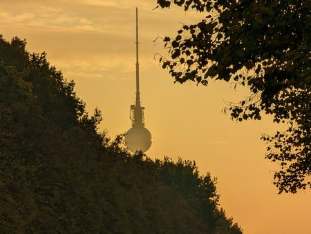 PXL_20221014_055556614_3.jpg