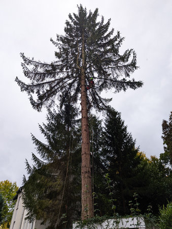 PSX_20221015_182630.jpg