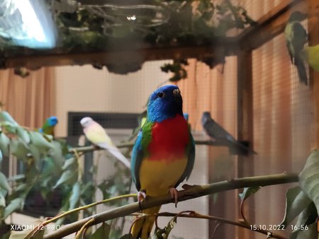 IMG_20221015_165659.jpg