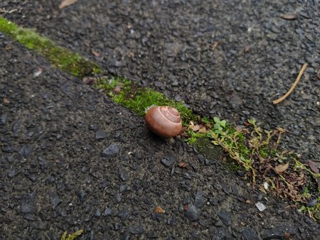 IMG20221015092336.jpg