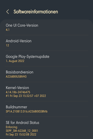 Screenshot_20221016-173326_Settings (002).png
