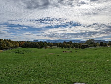 PXL_20221016_100906793.jpg