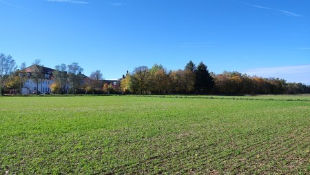 IMG_20221016_113310712.jpg