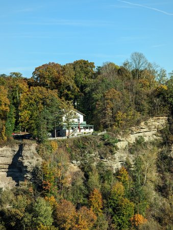 PXL_20221016_133247824.jpg