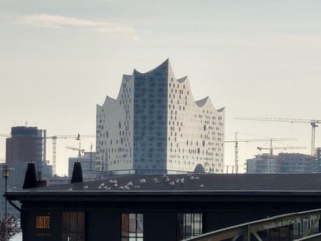 20221017_100339.JPG