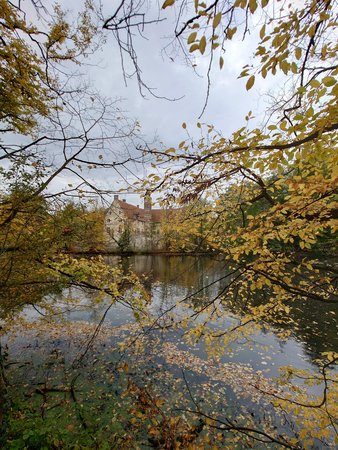 20221017_135333.JPG