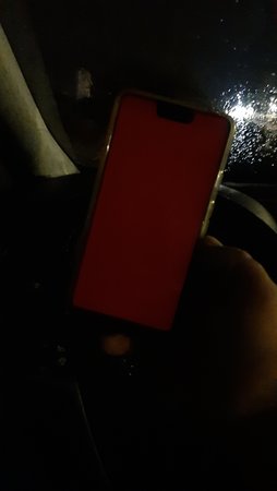 20221018_002040_122412.jpg