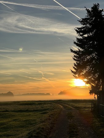 IMG_0101.JPG