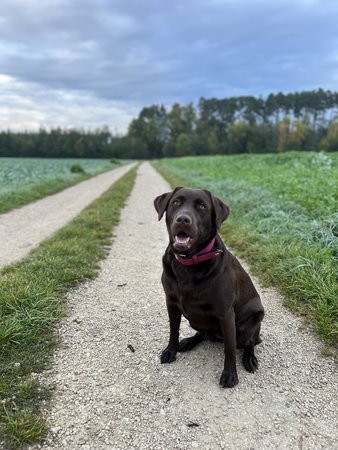 IMG_0120.JPG