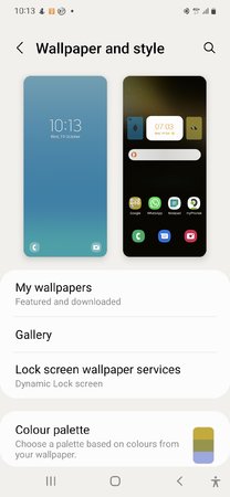 Screenshot_20221019-101336_Wallpaper and style.jpg