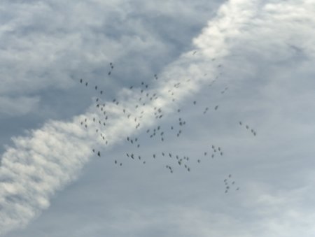 PXL_20221019_110655112.jpg