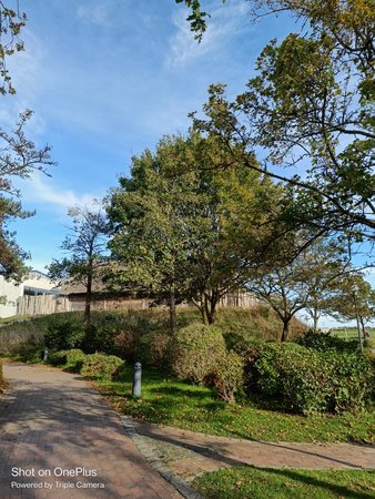 IMG20221020144938.jpg