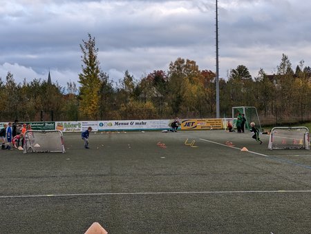 PXL_20221021_144131972.MP.jpg