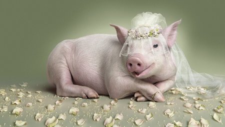 MissPiggy_1.jpg