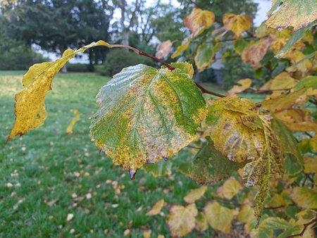 PXL_20221018_100304204.jpg