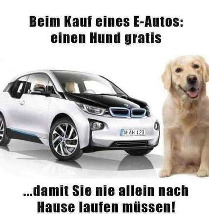 Hund.jpg