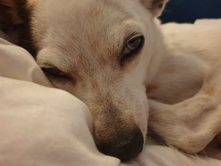 20221025_001407.jpg