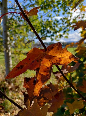 IMG_20221025_134507183_HDR.jpg