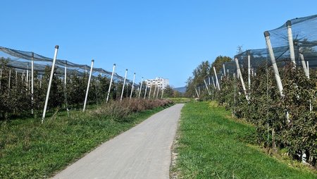 PXL_20221027_102750887_2.jpg