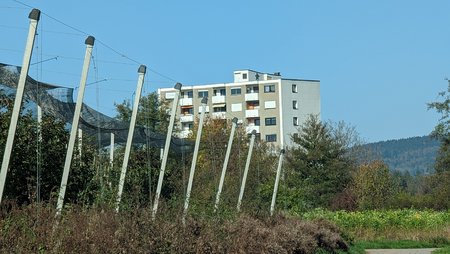 PXL_20221027_102838573.jpg