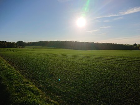 DSC_2703_065833.JPG