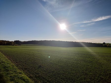 20221027_161714.JPG