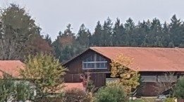 PXL_20221019_100649843_1x.jpg