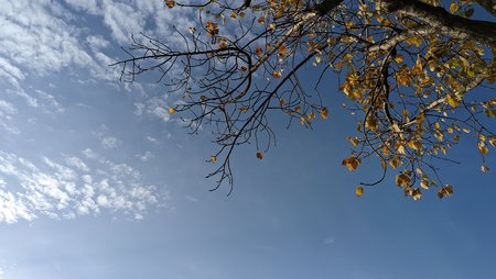PXL_20221028_143749650.jpg