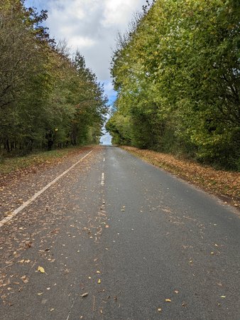35 Holzi001.jpg 35 Holzi001.jpg