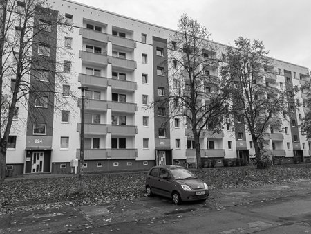 Mono aus Color-1.jpg