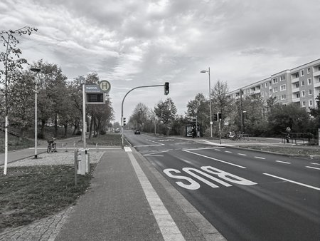 Mono aus Color-2.jpg