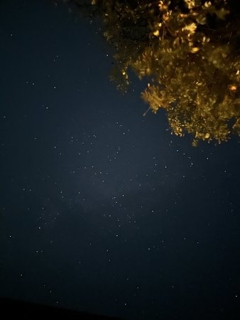1FD6BF5B-B48F-4A29-A843-4F0517F6E2F5.jpeg