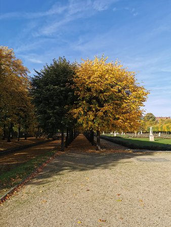 IMG_20221017_143313.jpg