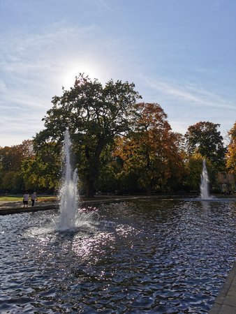 IMG_20221017_144001.jpg