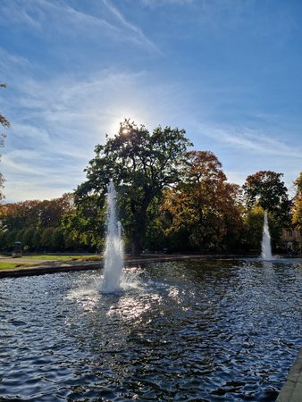 20221017_143943.jpg