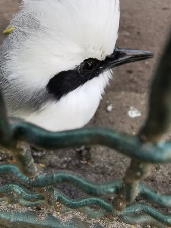 IMG_20221017_145334.jpg