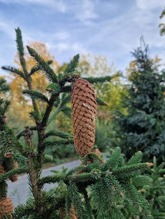 20221017_155736.jpg