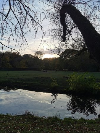IMG_20221017_165856.jpg