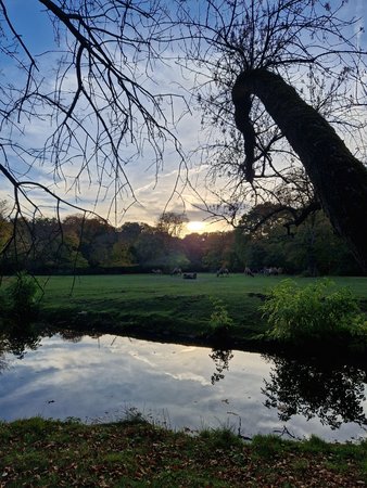 20221017_165914.jpg