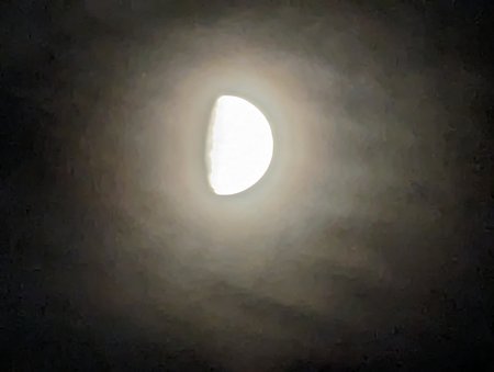 PXL_20221102_171117677.jpg