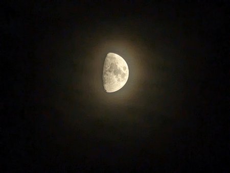 PXL_20221102_171134963~2.jpg