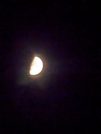 PXL_20221102_175155385.NIGHT.jpg