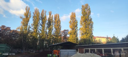 IMG_20221102_073102.jpg