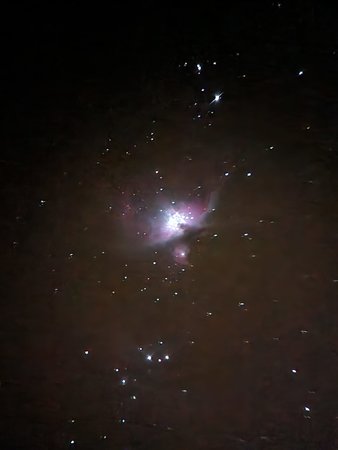 274963452_1027617061444461_1479395352038984519_n.jpg