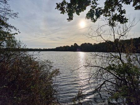 20221103_094954.jpg